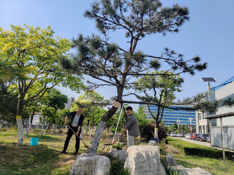微信图片_20250506085505(1)
