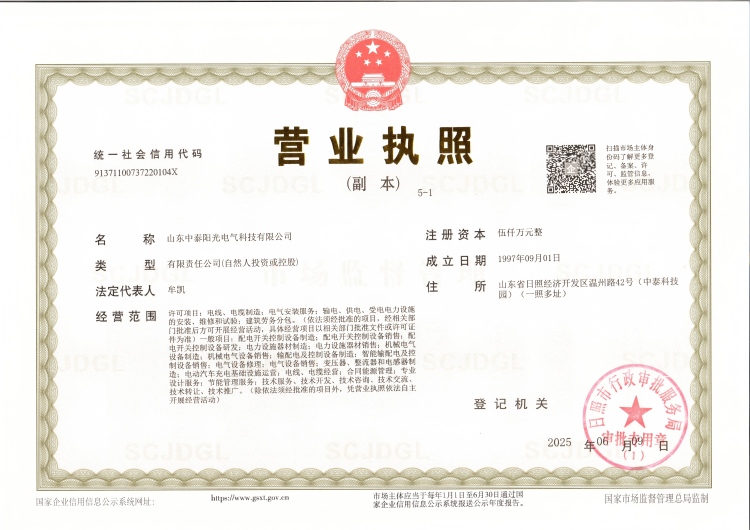 中泰阳光营业执照20250611(1)
