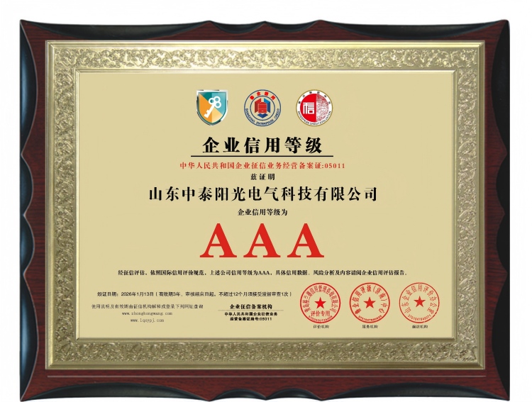 山东中泰阳光电气科技有限公司1(1)